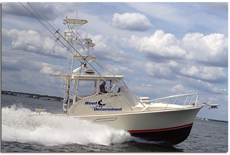 Home Reel Determined LBI Beach Haven Fishing Charters